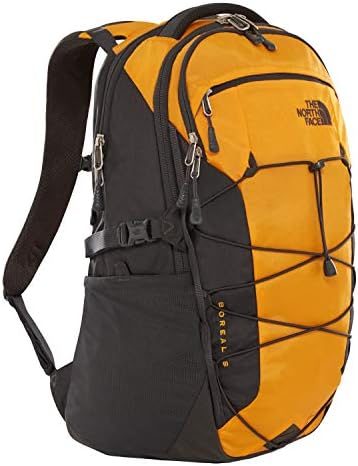 the north face zinnia