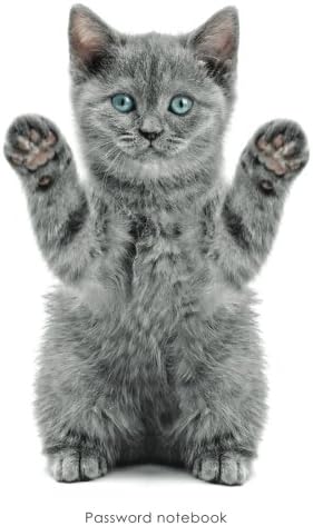 Password notebook: Large internet address and password logbook / journal / diary - Playful kitten cover (Cat lover's notebooks)