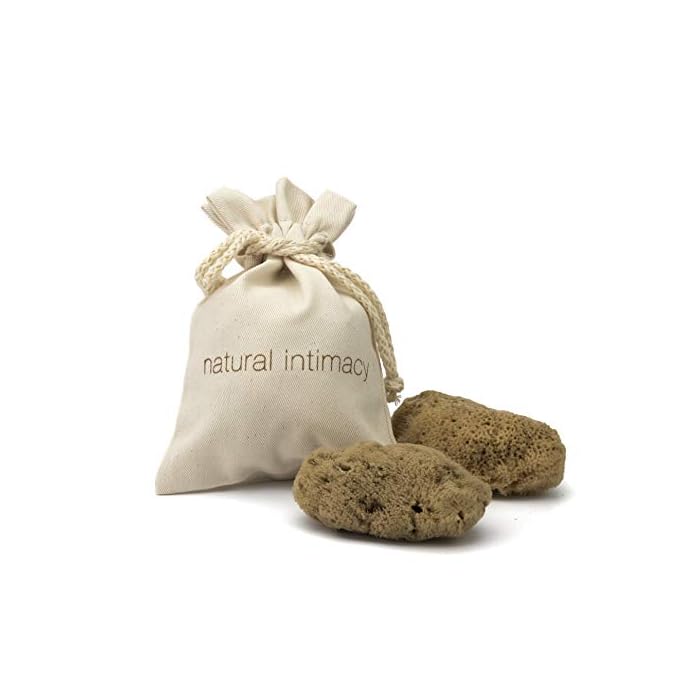 IntimateCare Sea Sponges - 3 Medium Bleached Silk Sea Sponges, 3MB (Golden Bleached, 5.5-6.5cm)