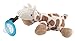 Nuby Natural Flex Cherry Pacifier with Snoozie Combo Set, Giraffe, 0-6 Months