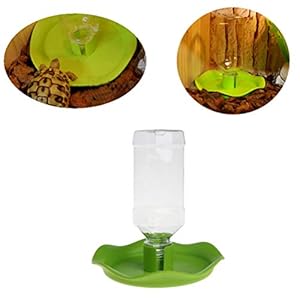 Balacoo Rettile Acqua Automatico Alimentatore Bacino Fontanella Rettile Acqua Bottiglia Tartaruga Lizard Acqua… Marca: Balacoo Balacoo Rettile Acqua Automatico Alimentatore Bacino Fontanella Rettile Acqua Bottiglia Tartaruga Lizard Acqua…