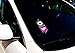 WildAuto Uber Lyft Sign Decor Accessories - Removable Ride share Decal - 2 Pcs - WildAuto (Type4)