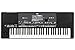 Korg PA600QT 61-Key Professional Arranger with Quarter Tone Buttons