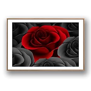 Framed for Living Room Bedroom Rose Flowers for