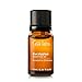 Eucalyptus Essential Oil - 100% Pure Therapeutic Grade for Hair Growth, Pain Relief, Shower, Sauna, Steam Room - 10ml