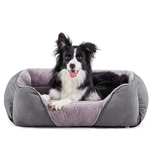 MIXJOY Dog Beds