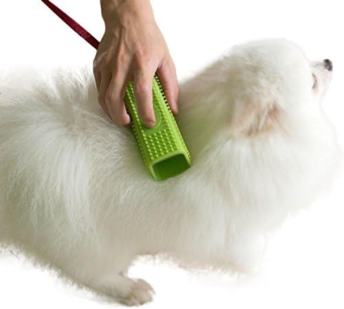 rattlesnake vaccine for cats