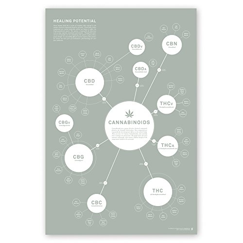 Cannabinoid Infographic Chart Art Print, Medical Cannabis Effects Poster, Marijuana Decor, Designed by Goldleaf (24x36)