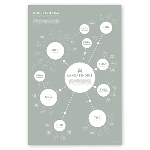 Goldleaf Cannabinoid Infographic Chart Art Print, Medical Cannabis Effects Poster, Marijuana Decor, Designed (24x36)