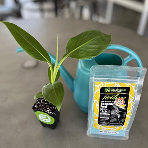 Wellspring Gardens Banana Fuel Fertilizer WaterSoluble 15530 Blend