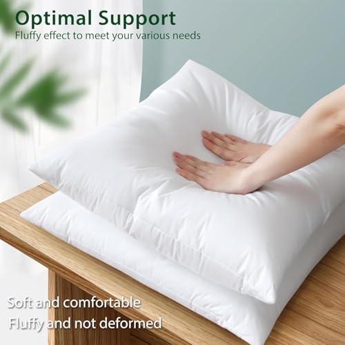 Dreamliner Algo 50x50cm Cushion Filler/Pillow Insert, Down Alternative Filling, Pure Natural Cotton Fabric, Breathable & Soft Comfort, Perfect Back Support, Washable and Easy Care