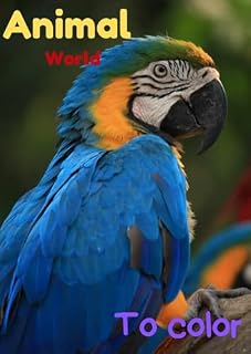 Livro Animal world to color