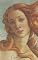 Livro Afrodite, Deusa do Amor e Beleza: Seis Contos de Mitologia Grega