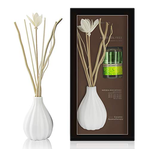 ap airpleasure Dried Flower Reed Diffuser Set, Natural Sticks, Elegant Ceramic Bottle, Aromatherapy Oil Set, Home Fragrance & Decorative Diffuser (GreenBamboo)