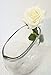 silk Sweet Home Deco 17’’ Real Touch Rose Artificial Single Spray Set of 2 (White)