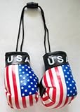 Mini Boxing Gloves - USA
