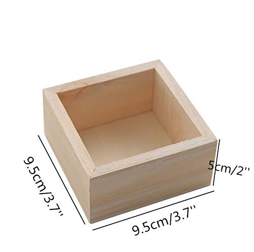 1 HAN+SHENG+Organizer+Collectibles+Succulents