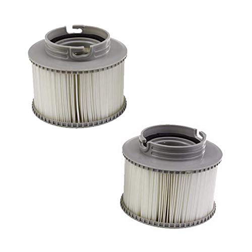 TINGSHAN Replacement Pool Filter MSPA Filter for All Models Hot Tub Spas Swimming Pool (Pack of 2)