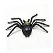 10PCS Halloween Spider Decorations, Large Spider Plastic Spider Fake Spider Realistic Halloween Prank Props for Halloween Home Indoor Party Decorations Supplies