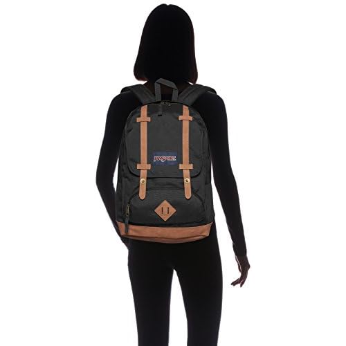 jansport cortlandt backpack