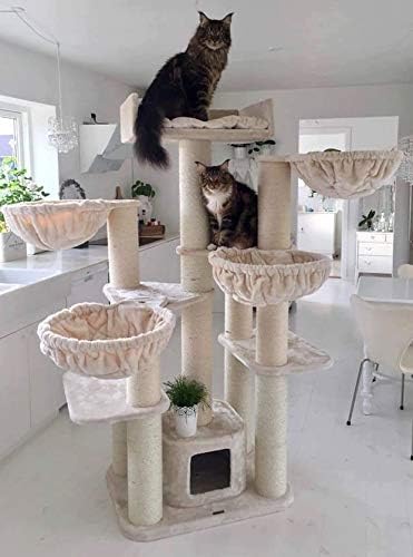 Arbre A Chat Xxl Geant Maine Coon Fantasy Plus Beige Griffoir Arbres Pour Grand Gros Chats Solide A Grande Taille Original Design Moderne De Luxe Adulte Amazon Fr Animalerie Arbre A Chat Xxl Geant Maine Coon Fantasy Plus Beige Griffoir Arbres Pour Grand Gros Chats Solide A Grande Taille Original Design Moderne De Luxe Adulte Amazon Fr Animalerie