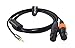 Devinal 1/8 inch TRS to Dual XLR Female Y-Adapter Cable, 3.5mm Mini Jack Stereo Male to 2 XLR Female Interconnect Breakout Y Patch Cable Cord 10 Feet (3 Meters)