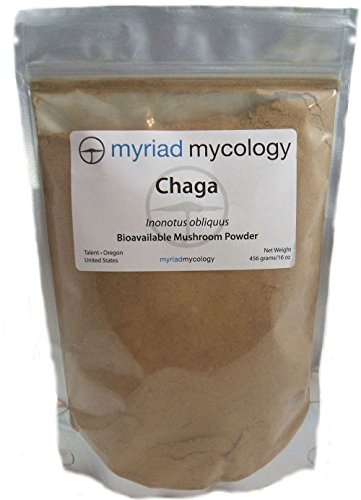 Myriad mycology chaga mushroom powder 1 pound bulk bag …