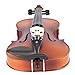 Cecilio CVA-500 15-Inch Viola Instrument Full Size Professional with D'Addario Prelude Strings and Ebony Fittings in Satin Antique Finish