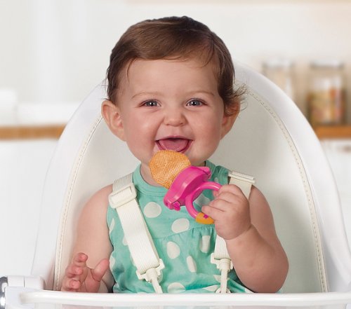 Munchkin Fresh Food Feeder 1ea