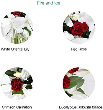 Fire And Ice Bouquet A Mix Of White Lilies Red Roses And Carnations Amazon Co Uk Garden Outdoors