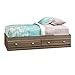 Sauder Shoal Creek Bed, Twin, Diamond Ash finish
