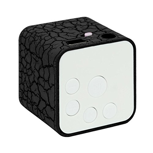 LtrottedJ Mini USB MP3 Player ï¼ŒSupport 32GB Micro SD TF Card Music Media (Black)