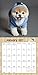 Boo Wall Calendar (2017)