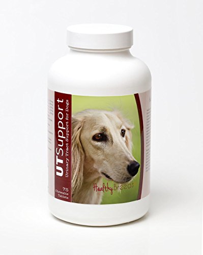 Healthy BreedsSaluki Cranberry Chewables - UT Support - Effective in Helping Fight Harmful Bacteria & Prevent Infection in Your Dog's Bladder - 75 Count