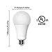 20W (150W - 200W Equivalent) A21 LED Light Bulb, 2400 Lumens 5000K Daylight White, E26 Medium Screw Base, Not-Dimmable, UL Listed, XMprimo - 3 Pack