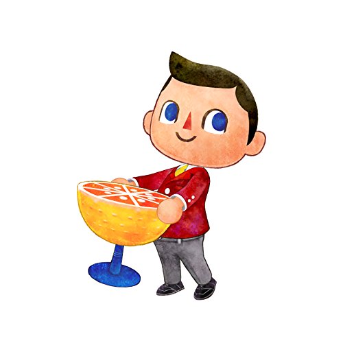 3 Animal+Crossing+Happy+Home+Designer+3DS