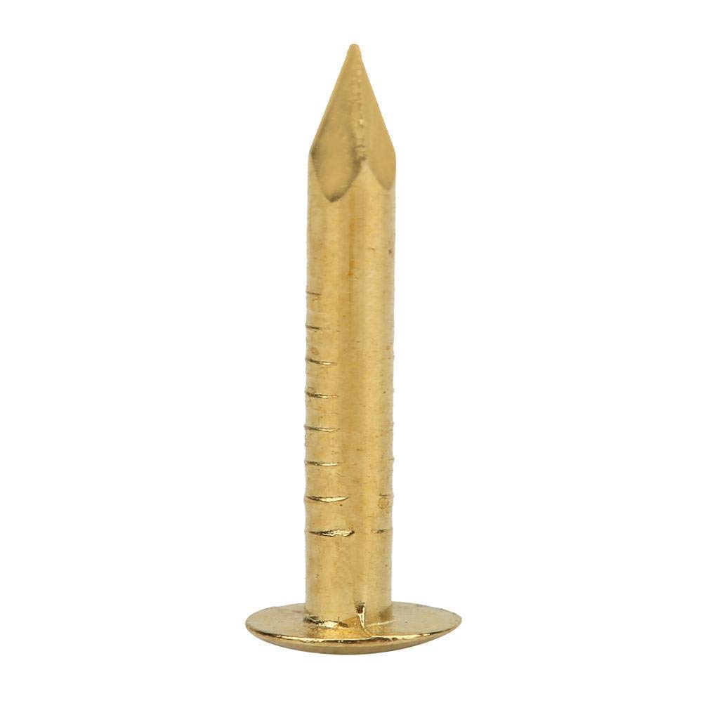 100 PCS Round Head Nail Brazen Vintage Nail DIY Craft Installation Tacks Brass Nails, Hardware Nail Assortment Kit(10mm)