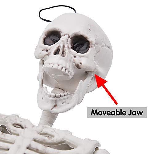413hm0JtrCL.jpg