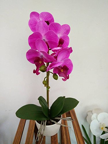 Phaleanopsis Arrangement with Vase Decorative Artificial Orchid Flower Bonsai (Pink)