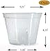 DAN Market Orchid Breathable Slotted Clear Plastic Pot (5.5 inch (4 Pack))