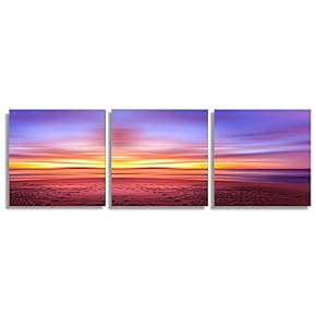 SIGNFORD 3 Piece Canvas Wall Art for Living...