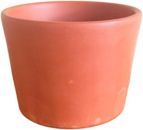 Terracotta Clay Plant Pot, 3.5"H x 4.5"D, Great for herbs. Hand Made in the USA (Terracotta)
