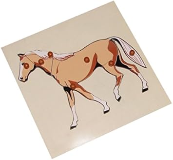 Kido Montessori Materials - Horse Puzzle: Wooden Montessori Zoology Jigsaw Puzzle