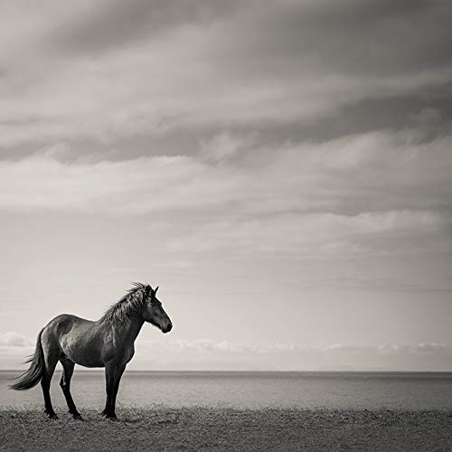 Carys Jones (Contemplation 40 x 40cm Canvas