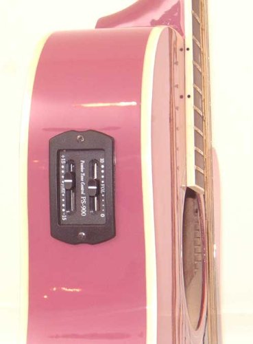 2 Jameson+Guitars+Thinline+Acoustic+Electric