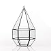 NCYP Hanging Glass Geometric Terrarium for Succulent Air Plants Flower, (4.5x4.5x8.66 Inches) Handmade Diamond Shape Display Planter Pot, Wedding Home Garden Tabletop Decor (No Plants)