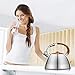 Kaisa Villa Tea Kettle Stovetop Teapot Stainless Steel Whistling Teakettle with 3.5 L… (Stainless steel color)
