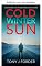Livro Sol frio de inverno (Série Mike Lynch Livro 2)