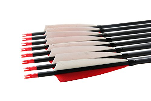 image for PG1ARCHERY 30 Inch Archery Hunting Target Arrows, Carbon Arrows 5