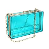 WJCD Women Clear Purse Acrylic Clear Clutch